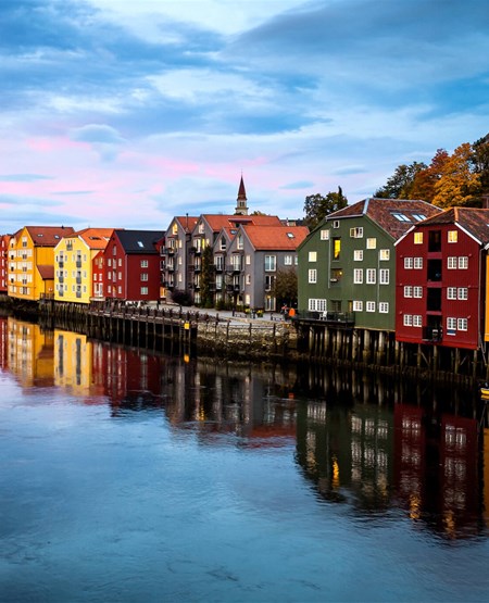 iStock-1178850580_1__450-555