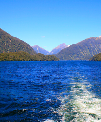Udsigt til Doubtful Sound New Zealand